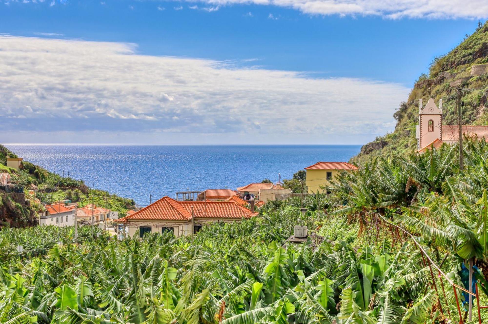 Casa Da Praia, A Home In Madeira ริเบรา บราวา ภายนอก รูปภาพ